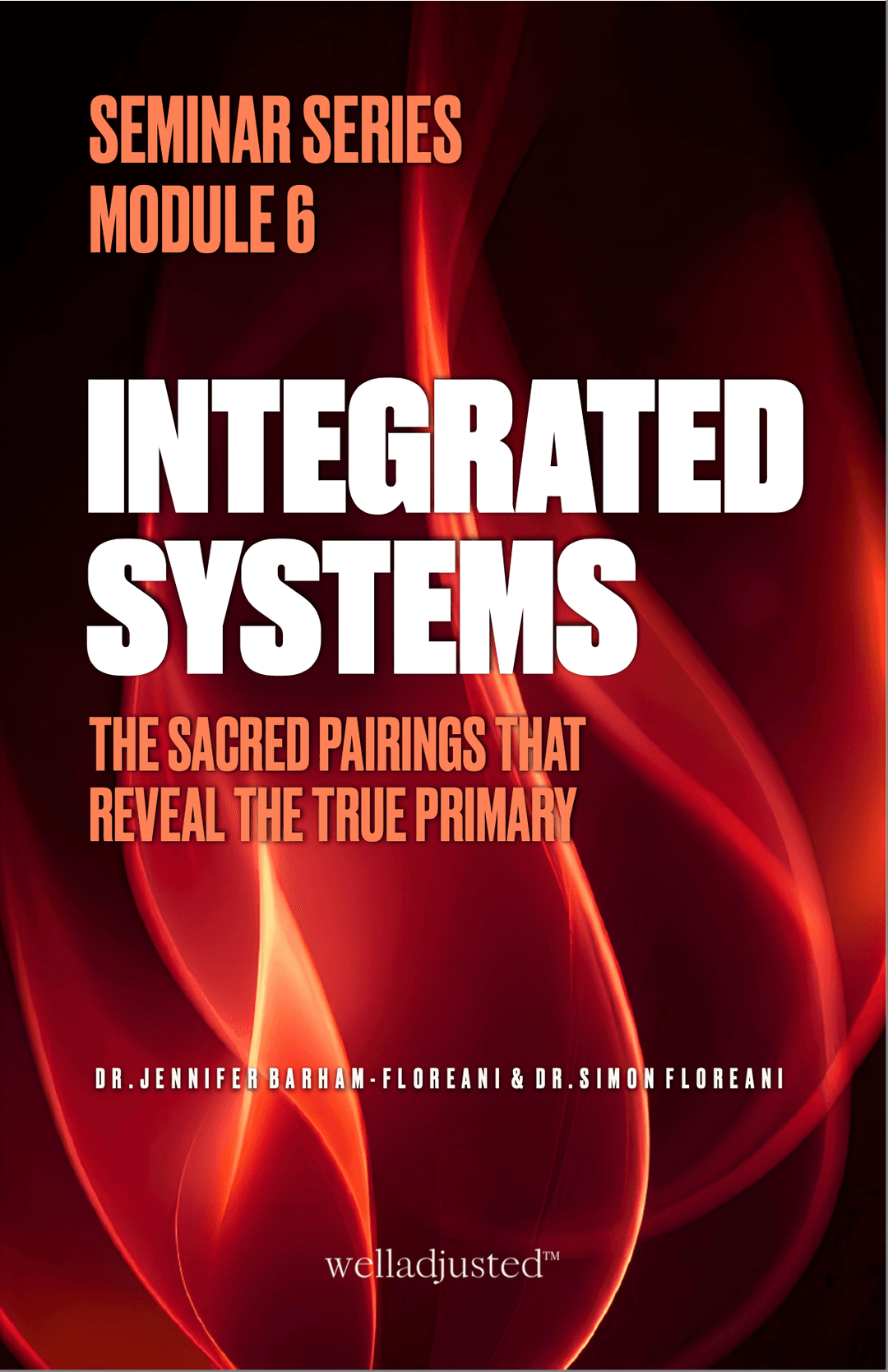 Integrated Systems — Module 6